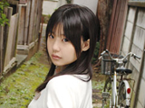 DAISY 17 ツボミ