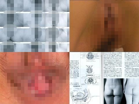 日本女性の外性器 第壱巻 人物不明