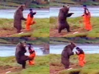 熊vs人間!すごい格闘です笑 人物不明