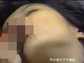感激! 2フェラ
