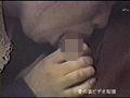 美人妻真昼の情事