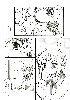  840x1200 192,019 Bytes