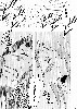  639x900 171,528 Bytes