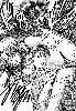 709x1024 98,586 Bytes