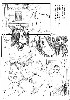  702x1000 99,131 Bytes