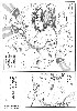  702x1000 98,949 Bytes