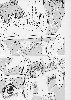  729x1024 96,228 Bytes