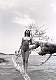 shiho39.jpg