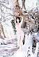 shiho57.jpg