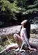 kimuraeri09.jpg