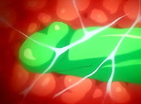 free torrent xxx anime