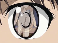 anime middletown new york