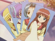 negima anime torrent