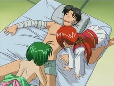 chronicles of the wings anime