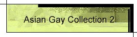 Asian Gay Collection 2
