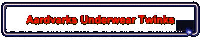 Aardvarks Underwear Twinks